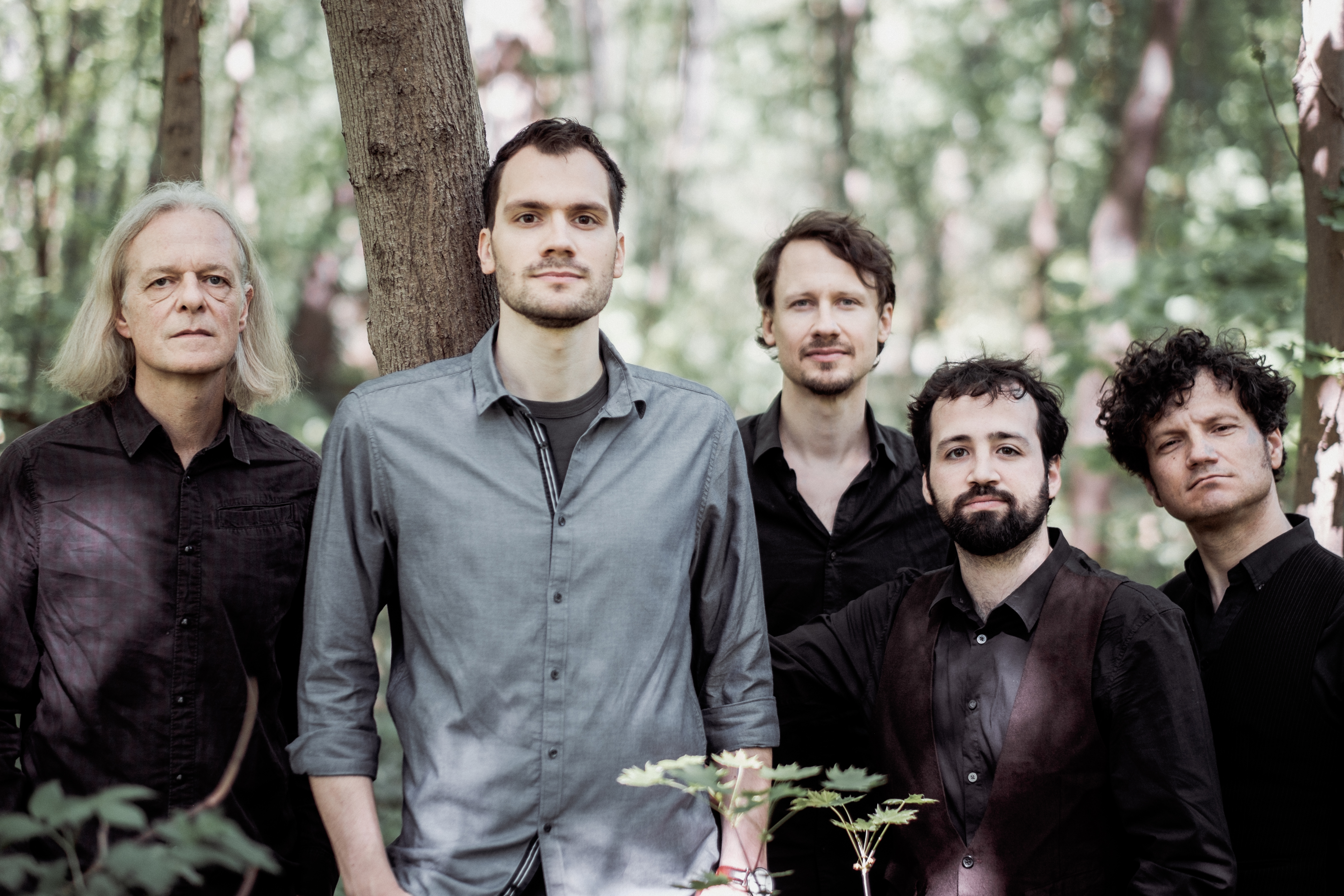 SIMSA FÜNF 1 Wald 1 - Georg Buxhofer